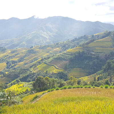 Ruộng bậc thang xã Dào San
