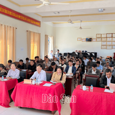 DÀO SAN TẬP HUẤN NÂNG CAO NĂNG LỰC VỀ BÌNH ĐẲNG GIỚI, LỒNG GHÉP GIỚI