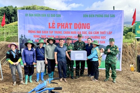 DÀO SAN PHÁT ĐỘNG MÔ HÌNH TRỒNG RAU XANH TẬP TRUNG