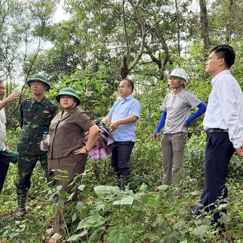 DÀO SAN KHẢO SÁT THỰC ĐỊA, ĐỊNH HƯỚNG QUY HOẠCH CHI TIẾT KHU TRUNG TÂM HÀNH CHÍNH.